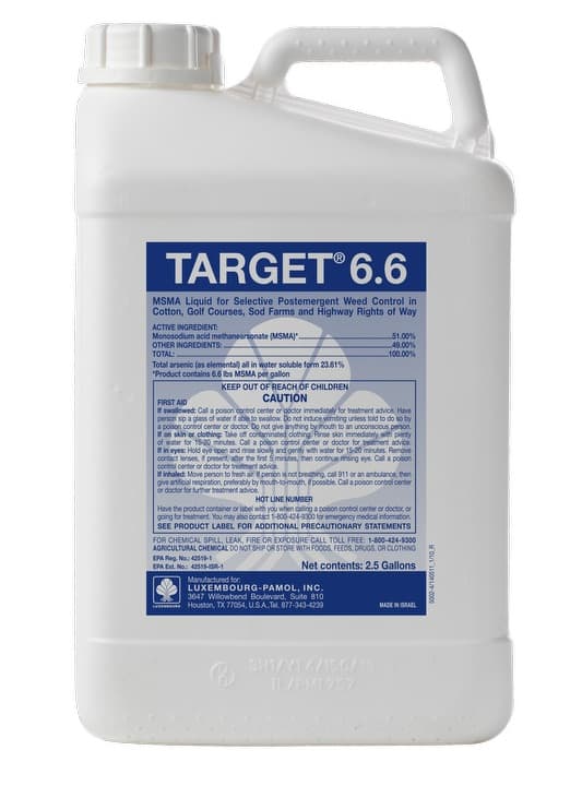 Target 6.6